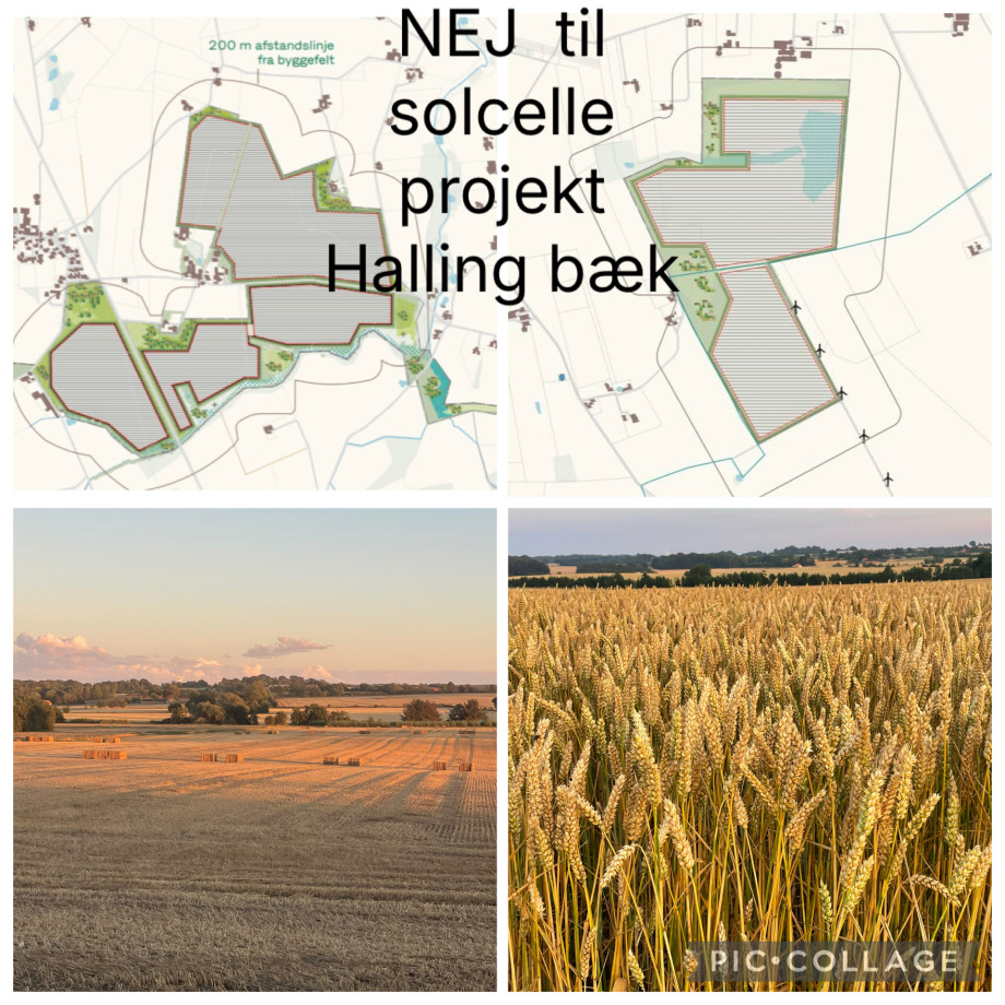 IMG_2975.jpeg