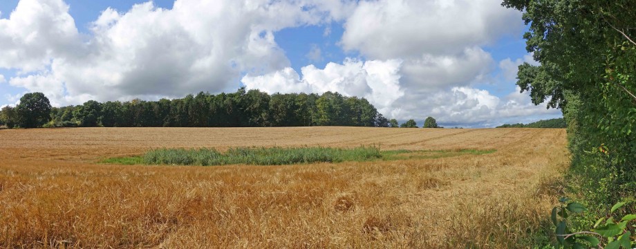 Marken_ved_Kelleris_Hegn_-_panorama.jpg