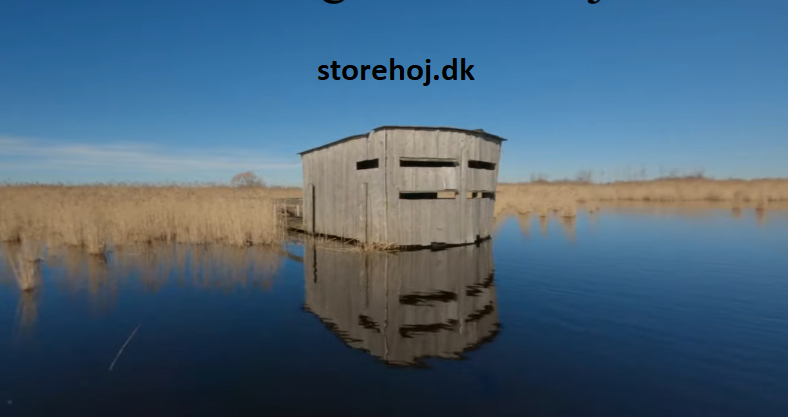 StoreHojPic2.png