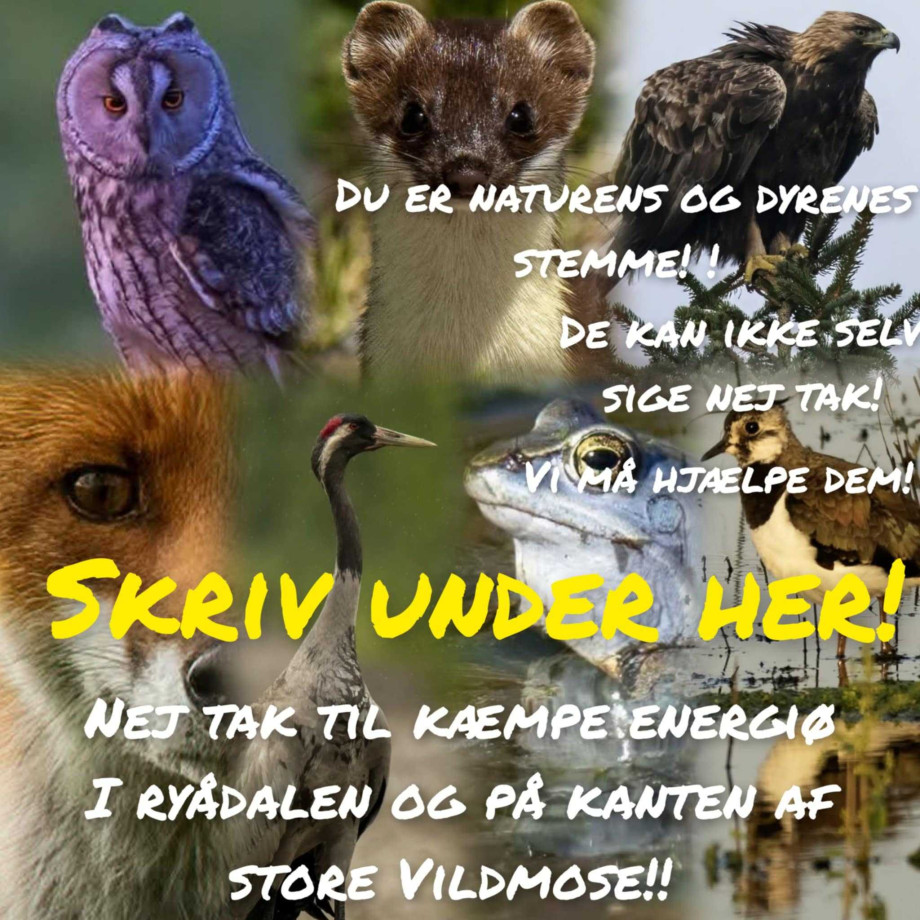 hej1231.jpg